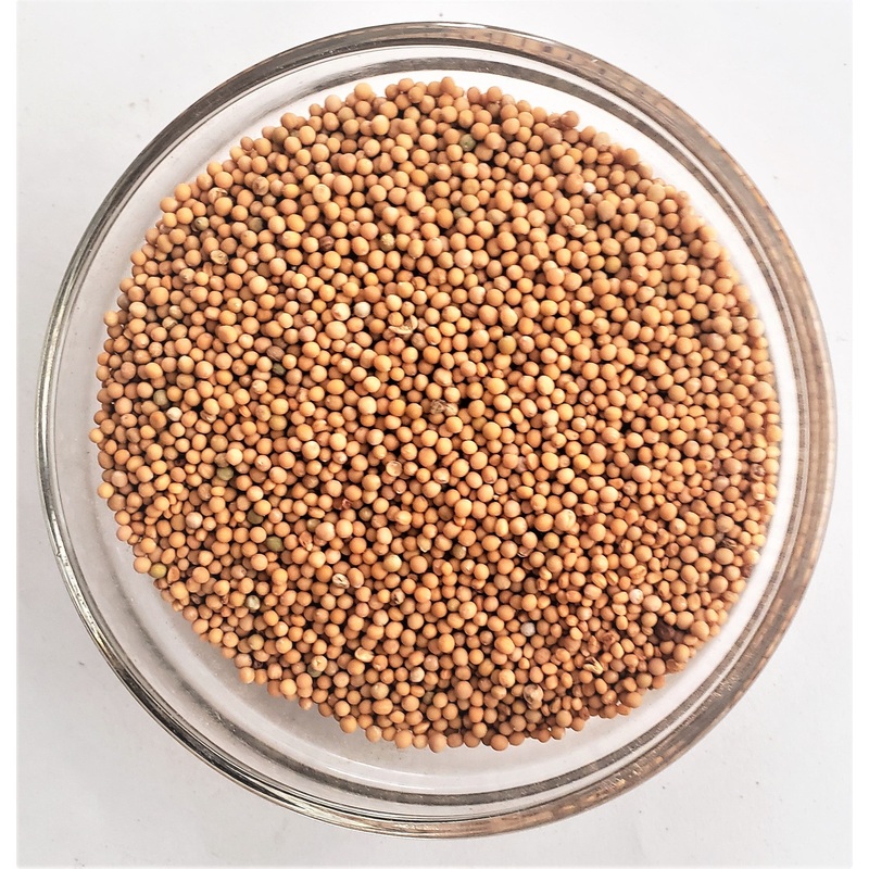 Mustard seed – non-gmo|5 lb|50 lbs