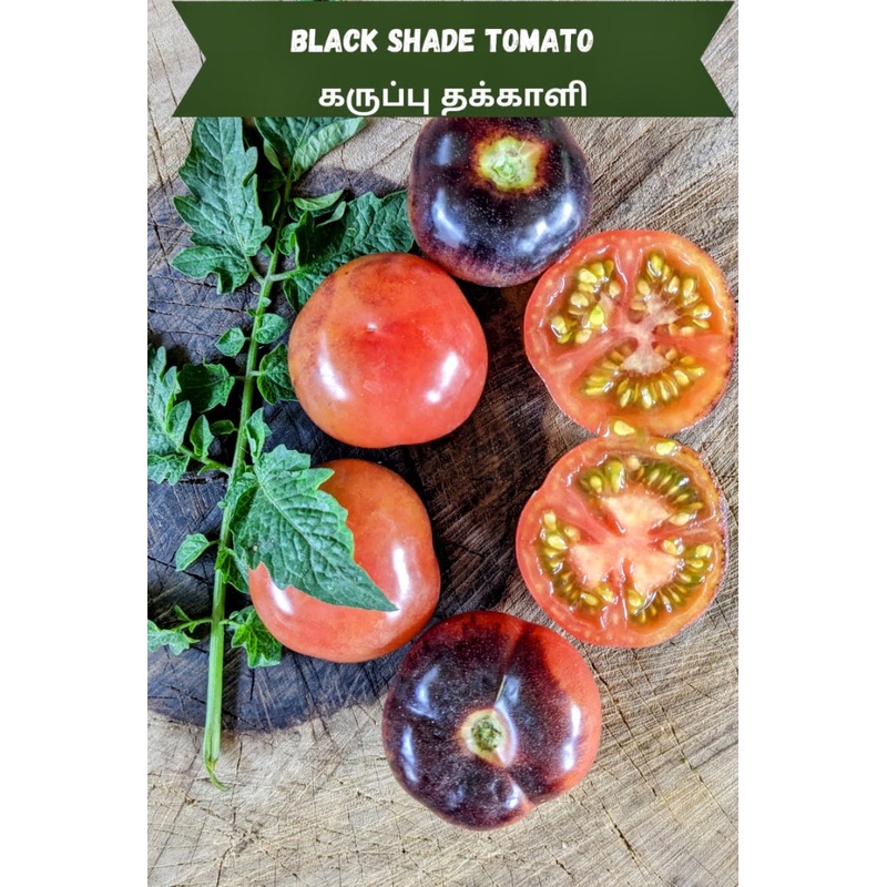 Tomato Black Shade Seeds