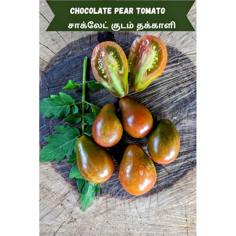 Tomato Chocolate Pear Seeds