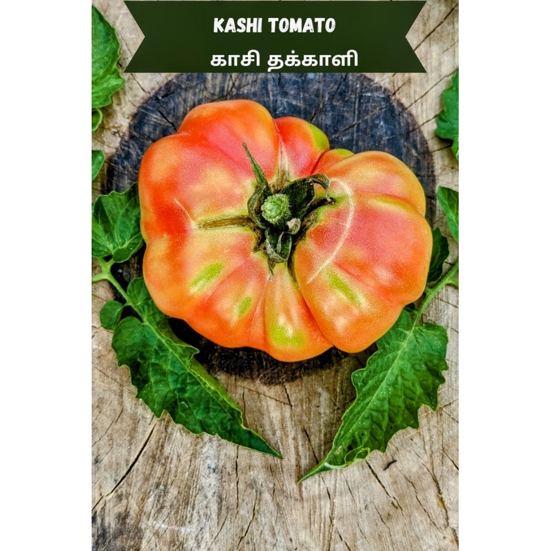 Tomato Kashi Seeds
