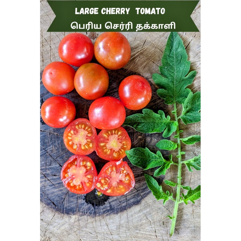Tomato Large Cherry Seeds