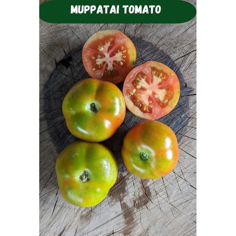 Tomato Muppattai Seeds