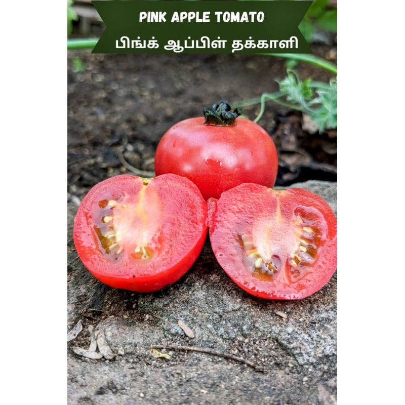 Tomato Pink Apple Seeds