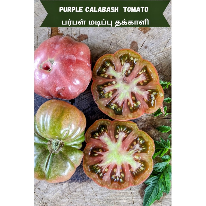 Tomato Purple Calabash Seeds