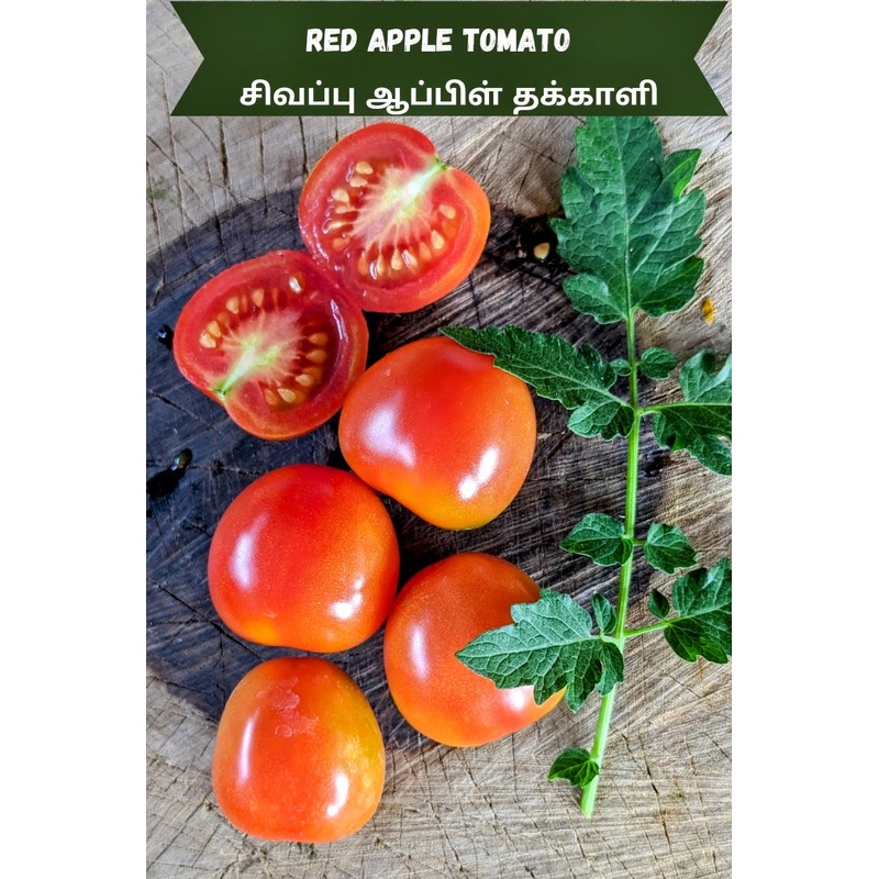 Tomato Red Apple Seeds
