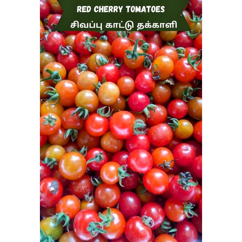 Tomato Red Cherry Seeds