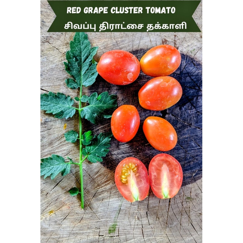 Tomato Red Grape Cluster Seeds