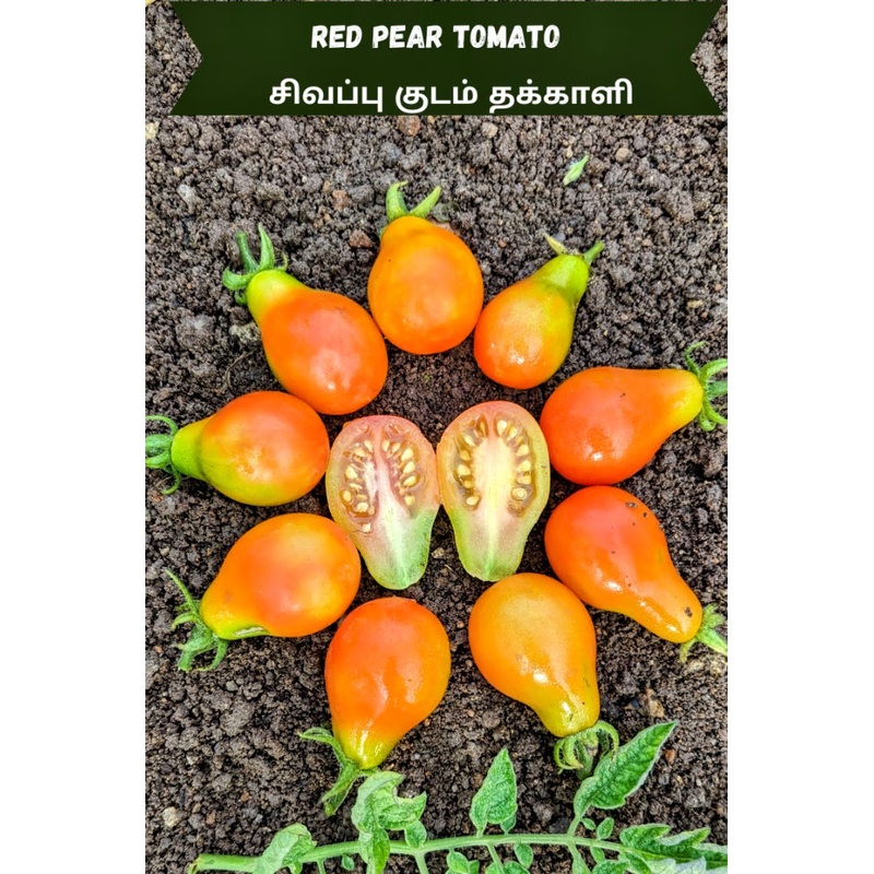 Tomato Red Pear  Seeds