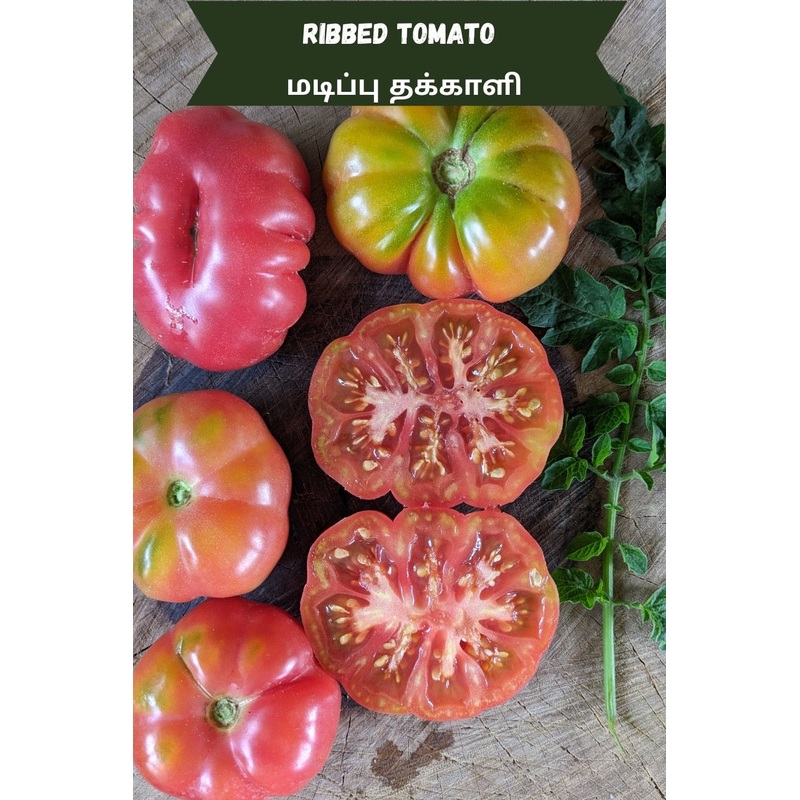 Tomato Ribbed Shade Seeds