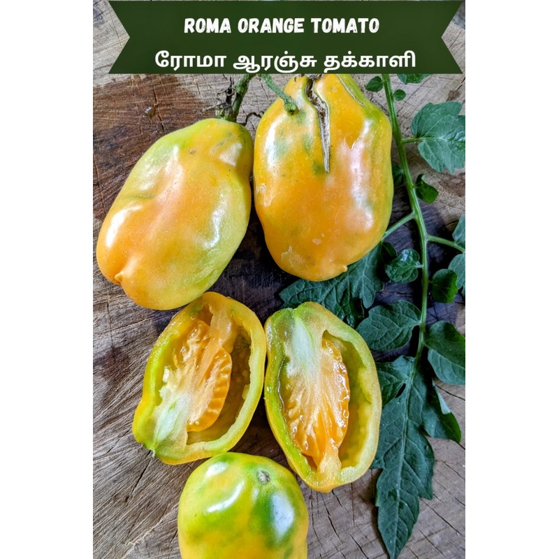 Tomato Roma Orange Seeds
