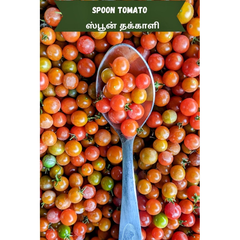 Tomato Spoon Seeds