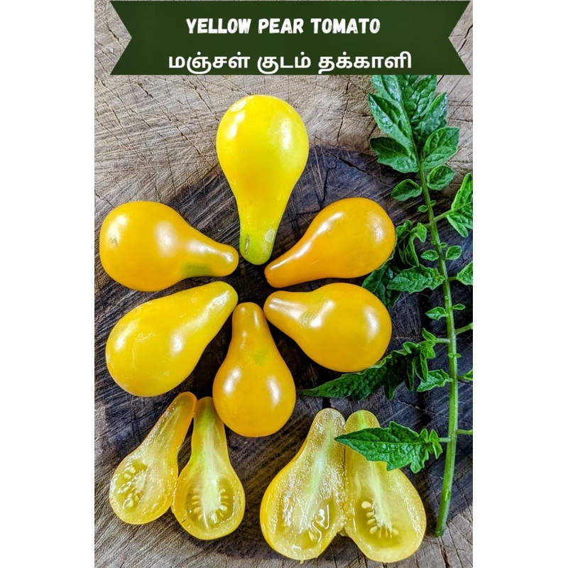 Tomato Yellow Pear Seeds