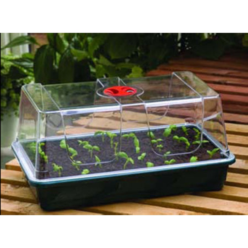 High Dome Propagator