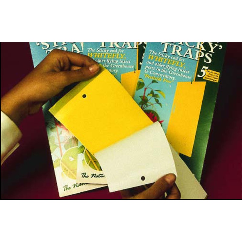 Sticky Traps – Large