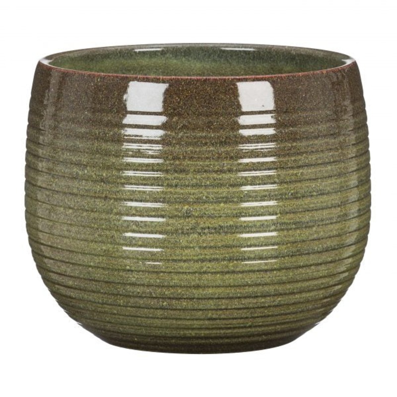 Stylish Ceramic Cache/Cover pots – Wild Jungle – 16cm