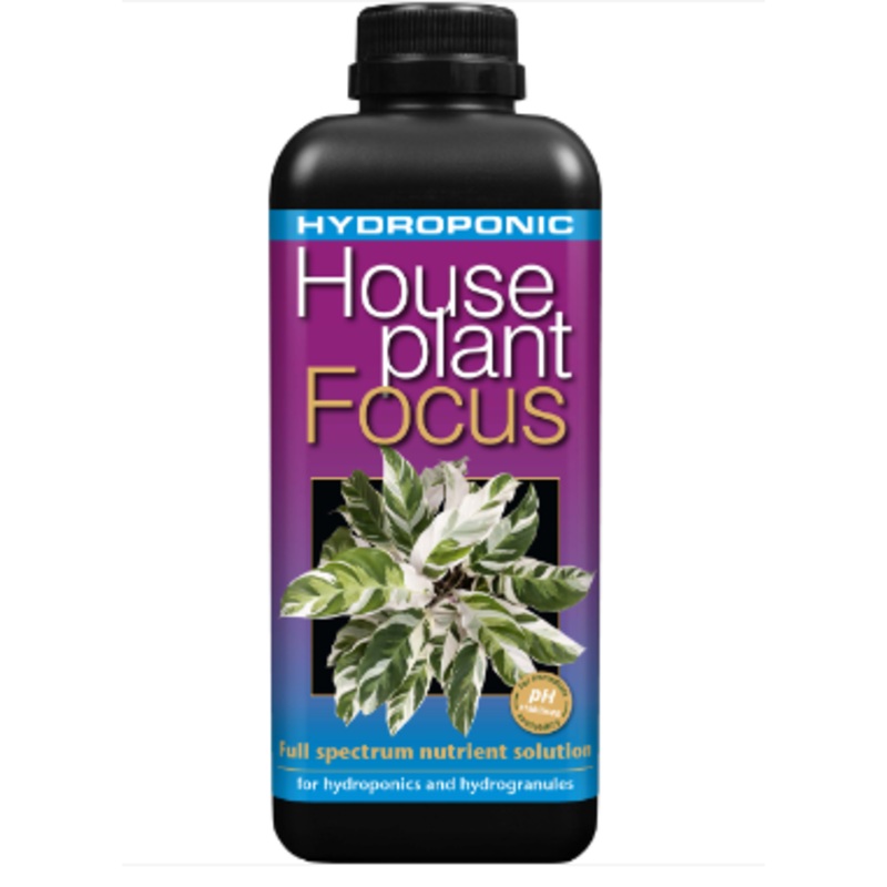 Hydroponic Houseplant Focus