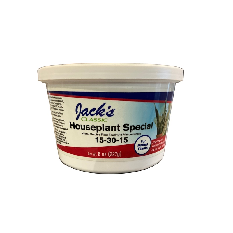 JACKS CLASSIC 8 OZ HOUSEPLANT