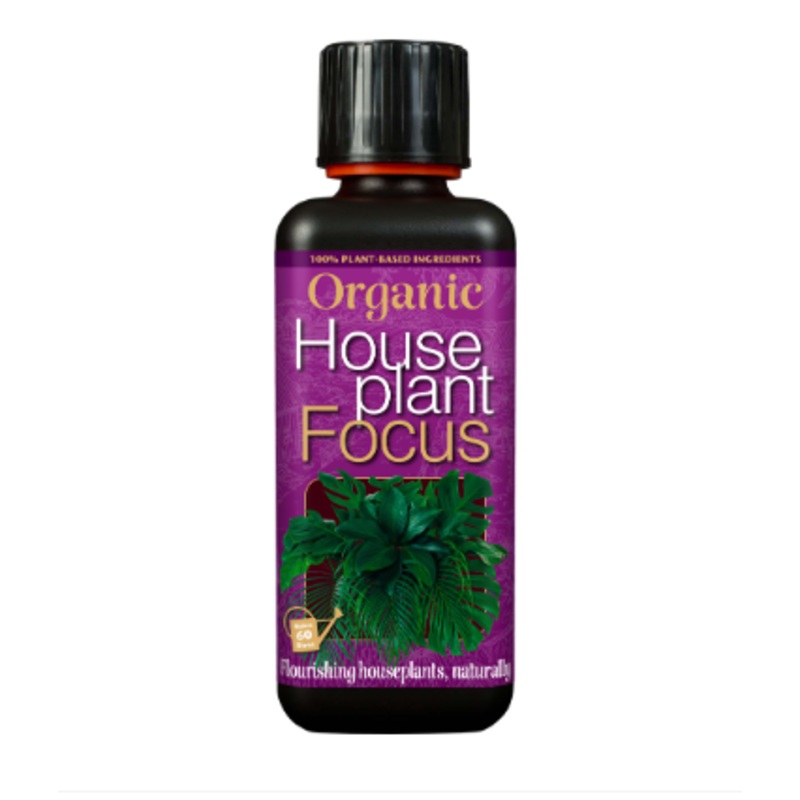 Organic Houseplant Focus