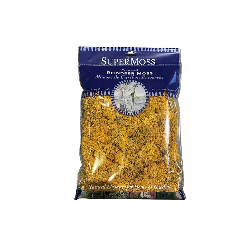 Reindeer Moss, Mango 2 oz