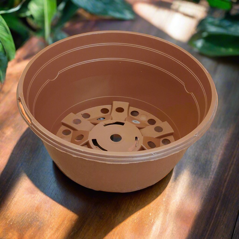 Shallow pots – for petrocosmea (pack of 3)