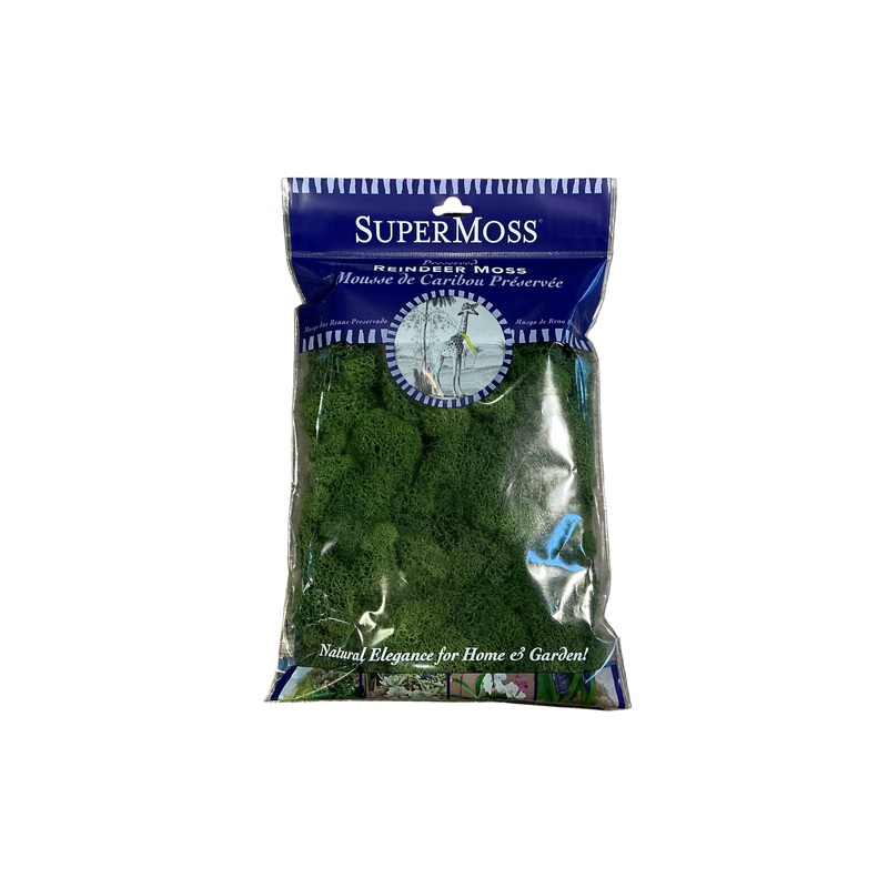 SuperMoss 2oz Reindeer Moss