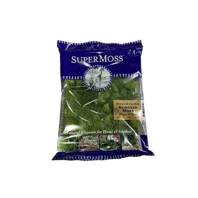 SuperMoss 2oz Reindeer Moss Bas