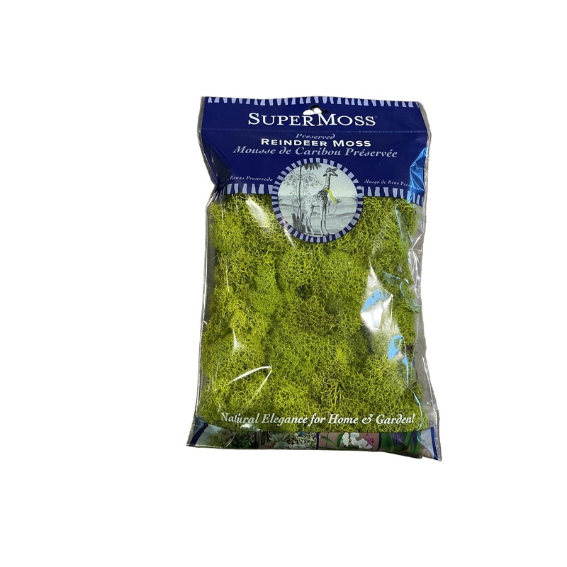 SuperMoss 2oz Reindeer Moss Chartreuse