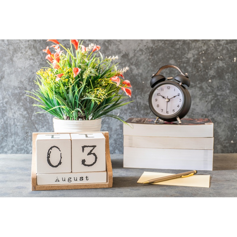 Plant of the Month Club|4 Inch|6 Inch