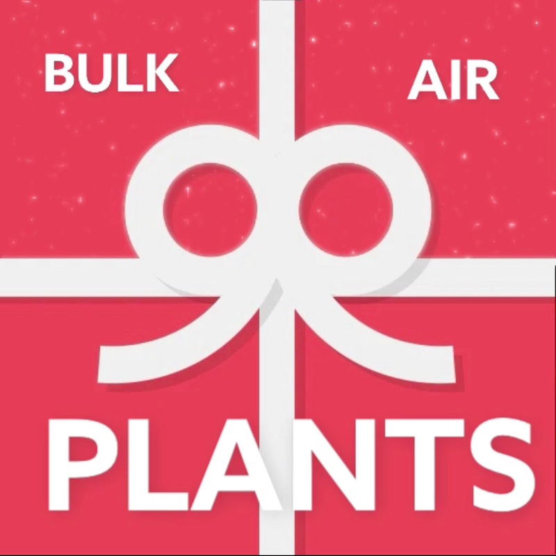Bulk Air Plants E Gift Card|$10.00|$25.00|$50.00|$100.00