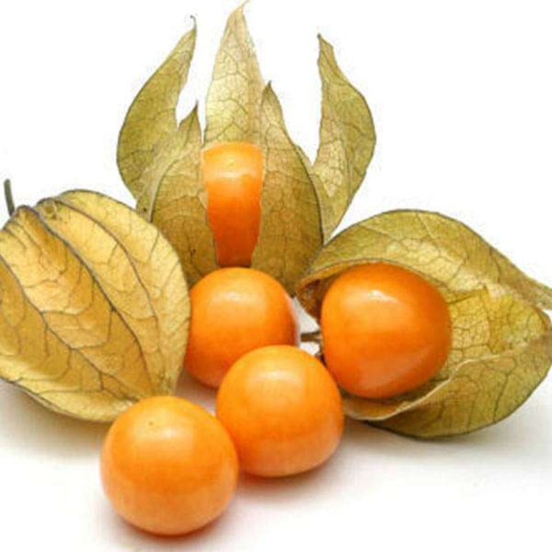 Cape Gooseberry, Rasbhari – Fruit Seeds