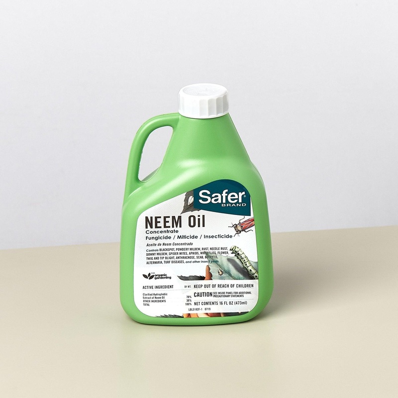 Neem Oil Concentrate – 16 fl oz