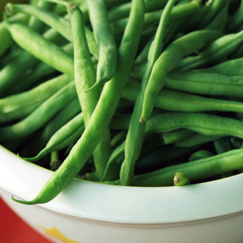 Blue Lake Bush Bean (In Store Only)