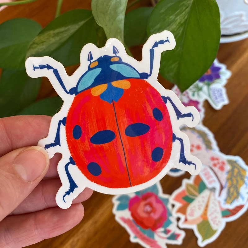 Ladybug Sticker – Insect/Bug Sticker – Nature Sticker