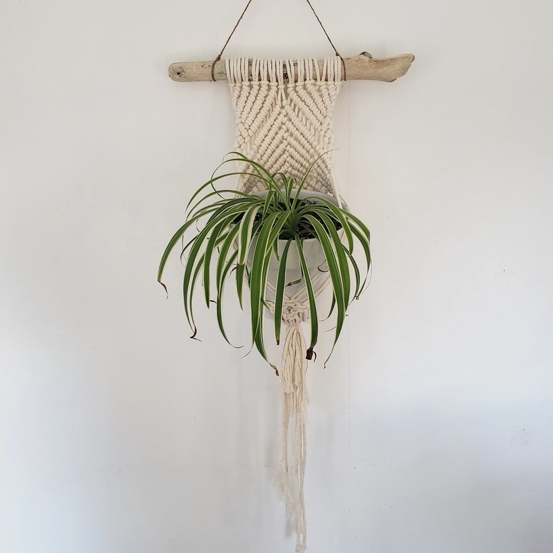 Large Macrame Plant Hanger