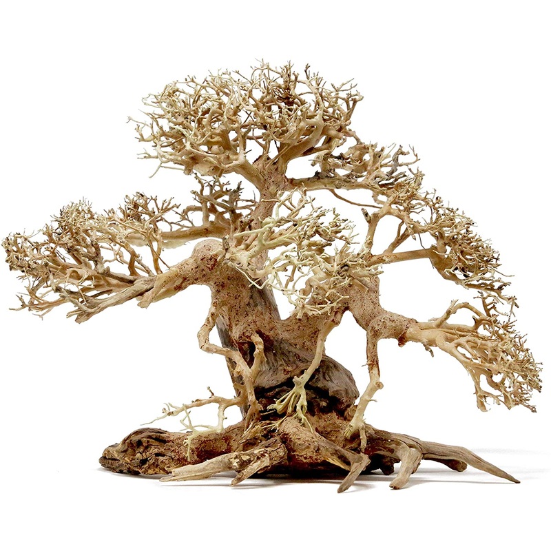 12 Bonsai Driftwood