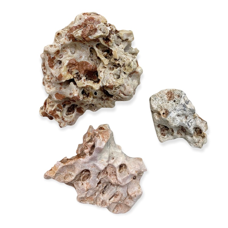 Holey Rock|5lbs|10lbs