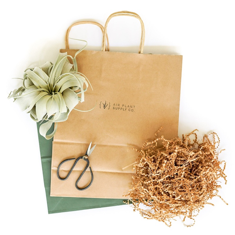 Branded Gift Wrap