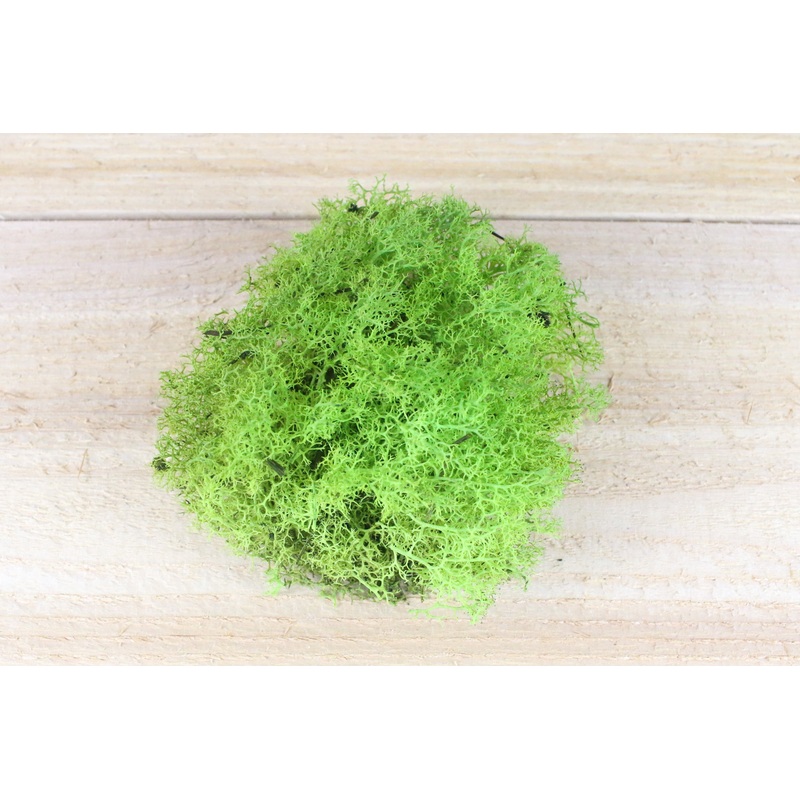 Wholesale: Chartreuse Green Reindeer Moss [Min Order 12 Cups]