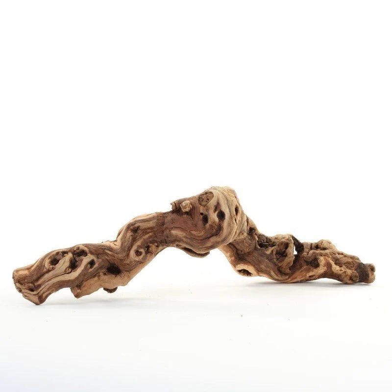 100 Medium Natural Grapewood, Grape Wood Vine Branch Bulk Terrarium and Wedding Dcor