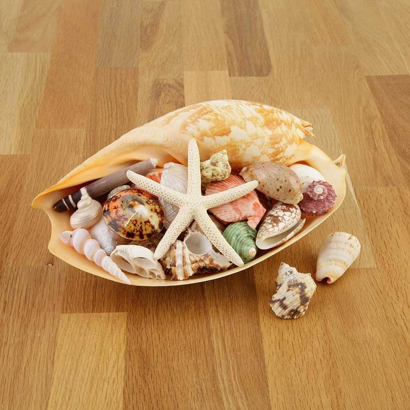 Mega Shell Pack
