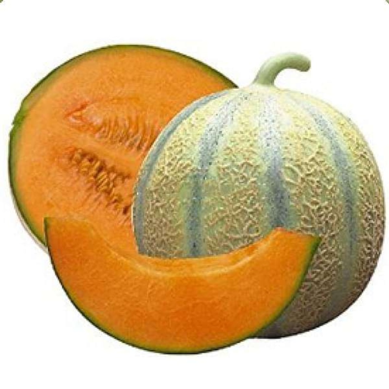 Muskmelon – 0.5 kg Seeds