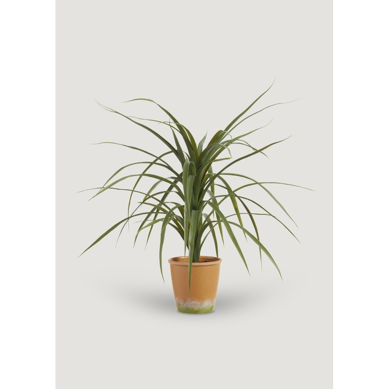Artificial Dracaena Succulent Plant in Pot – 25.5