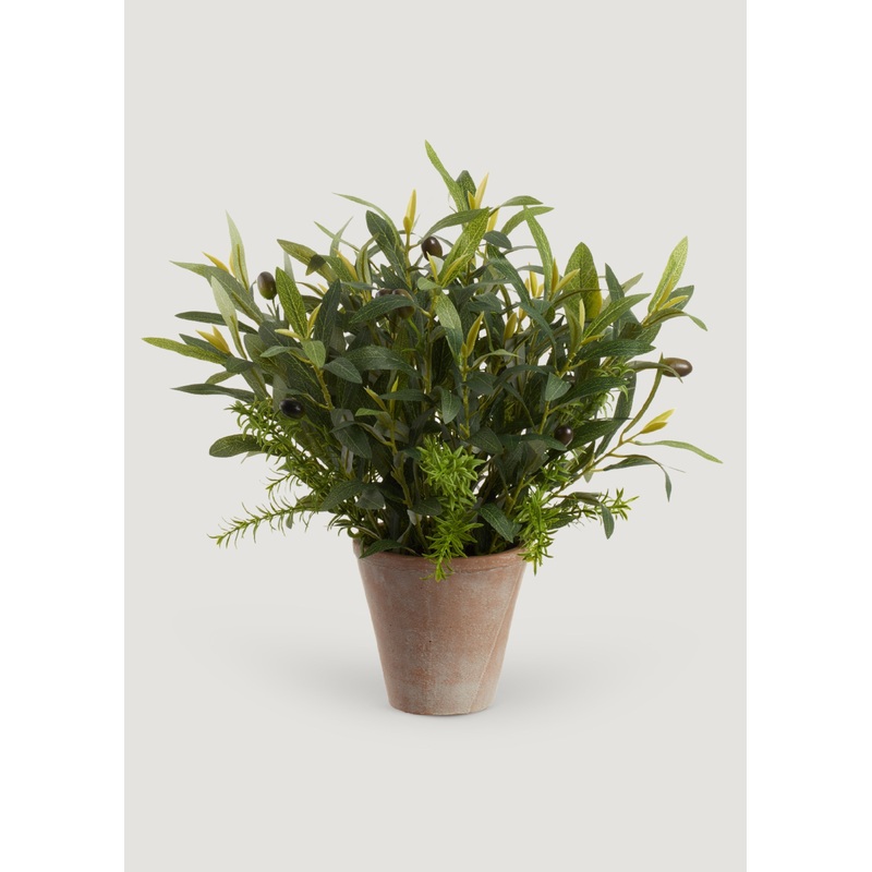 Fake Olive Leaf and Rosemary Plant in Cement Pot – 17