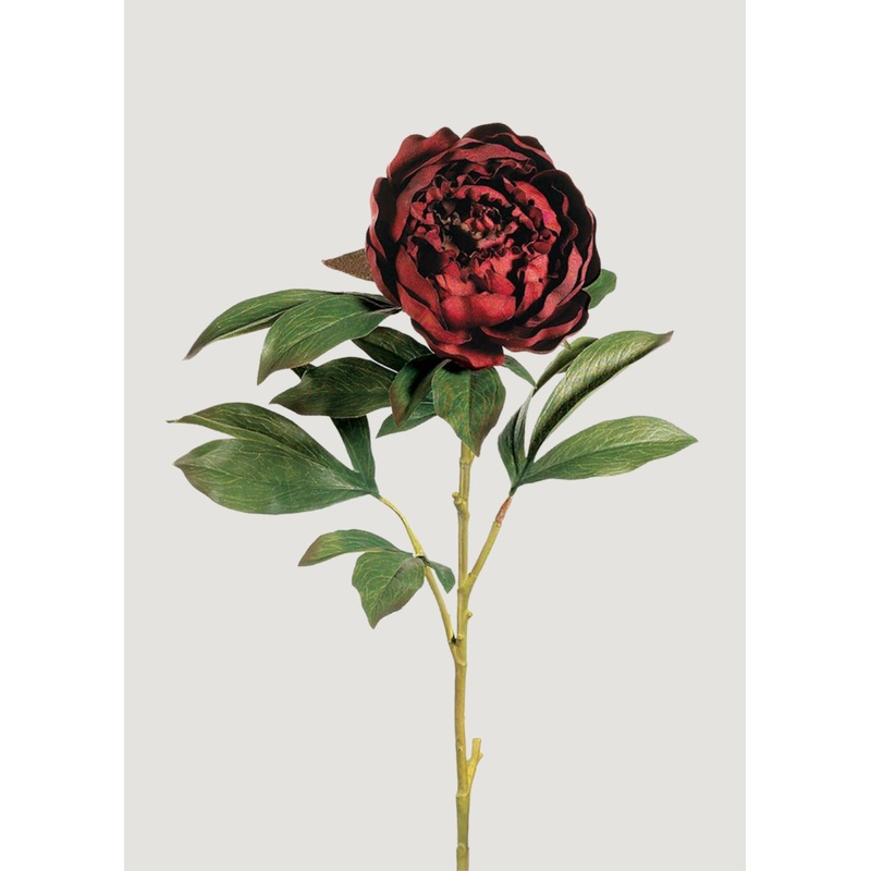 Fake Peony Flower in Burgundy – 30