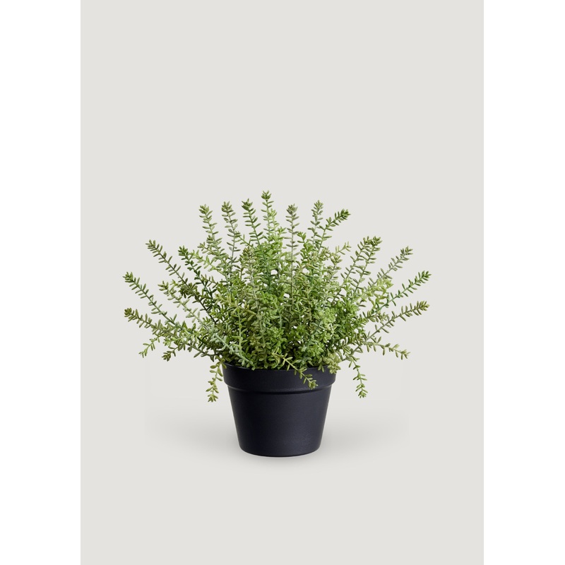 Fake Plants Potted Sedum Succulent in Plastic Pot – 15.5