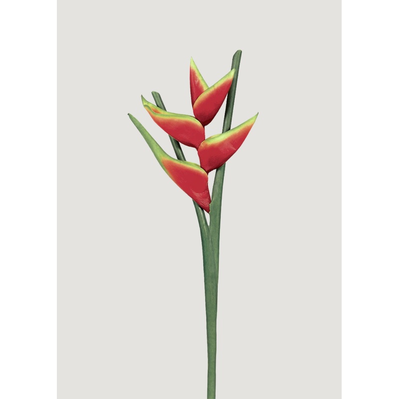 Fake Red Hawaiian Heliconia Tropical Flower – 34