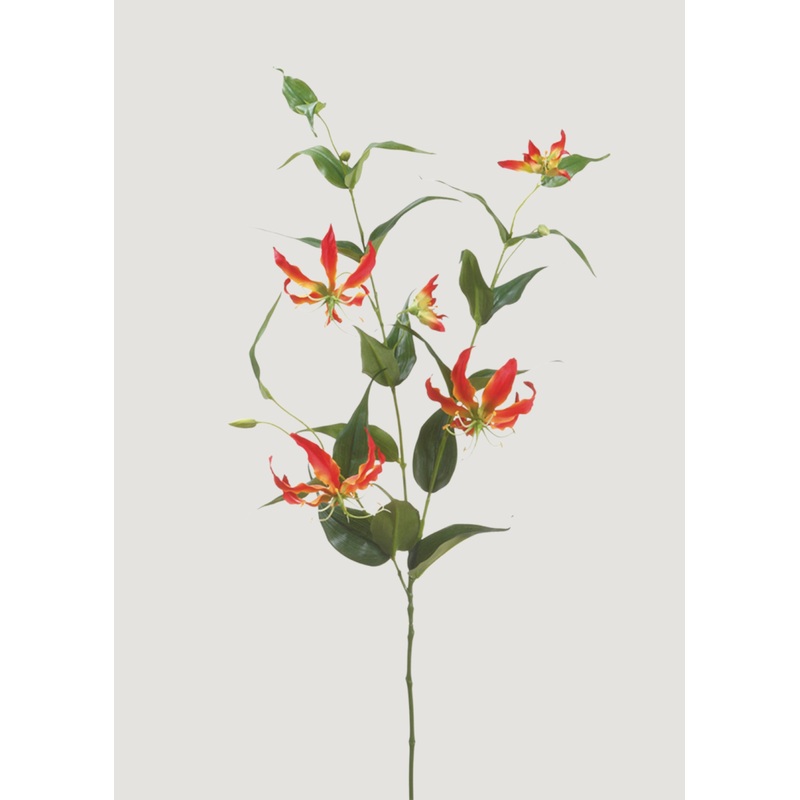 Faux Tropical Gloriosa Lily in Red and Yellow – 48