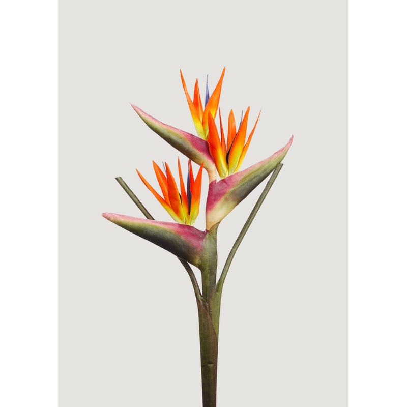 Large Bird of Paradise Faux Tropical Flower – 28