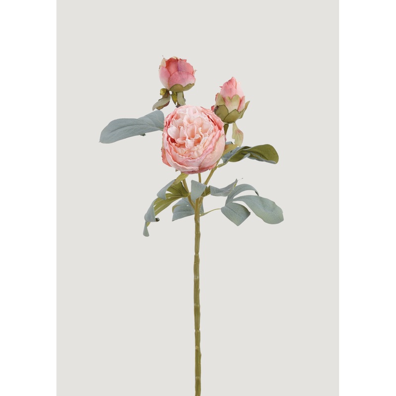 Pink Peony Dried Look Artificial Flower – 24