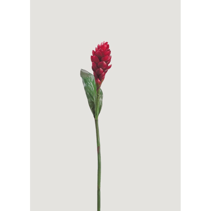 Red Artificial Torch Ginger Tropical Flower – 37